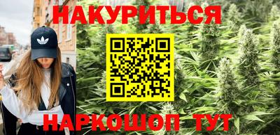 a pvp Лесосибирск