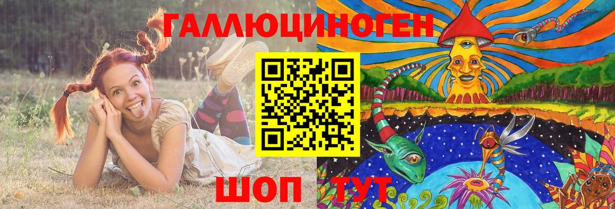 Жуковский  Псилоцибиновые грибы MAGIC MUSHROOMS  Вход с VPN 