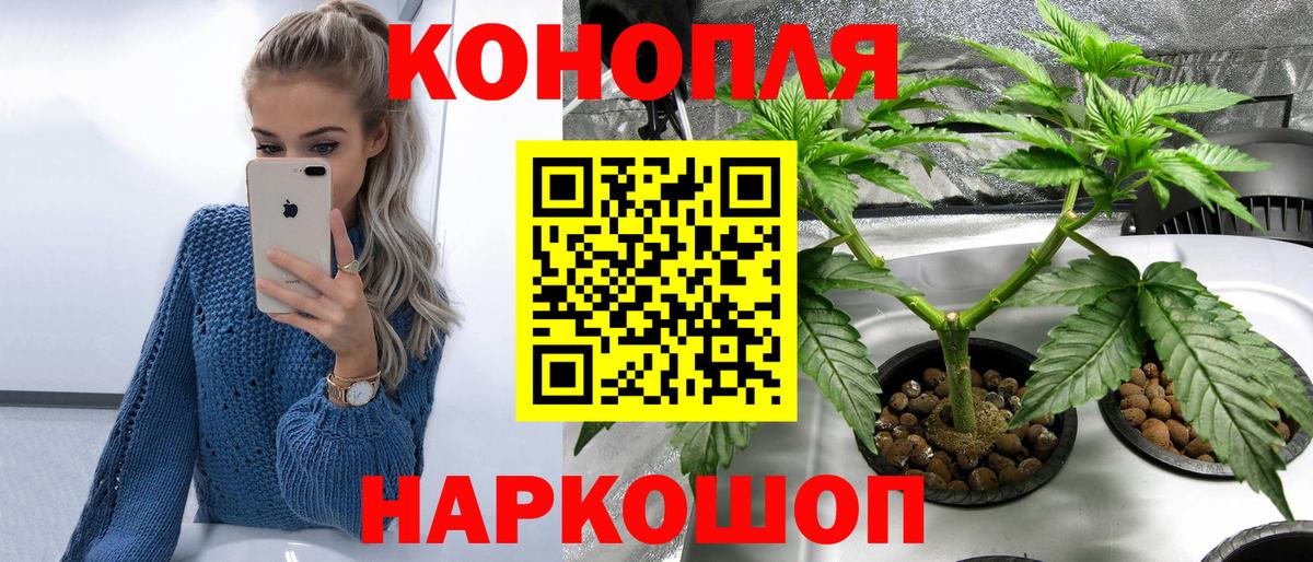 Бошки марихуана Bruce Banner  Вход с VPN  Жуковский  Каннабис AK-47 
